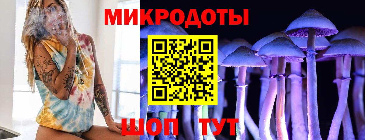 Псилоцибиновые грибы MAGIC MUSHROOMS  Псилоцибиновые грибы Magic Shrooms  Вход с VPN  Новотроицк 